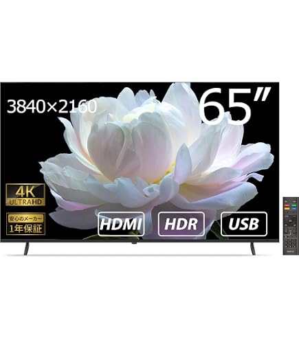 Amazon.co.jp: SONY BRAVIA FW-65BZ40H 65インチ 4K業務用ディスプレイ